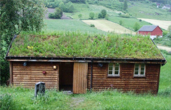 ecological roof