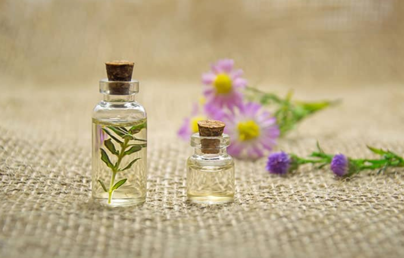 Top 5 Benefits of Home Fragrance Systems Velvet Cushion