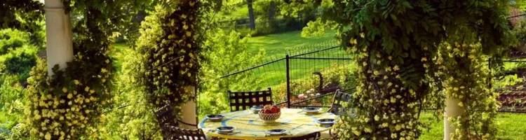 Tips in Doing Your own DIY Backyard Homes