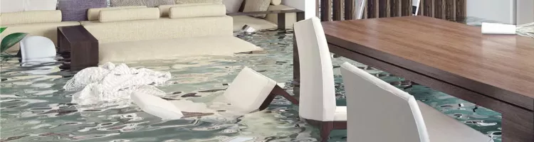 5 Steps to Follow After Your Home Suffers Water Damage