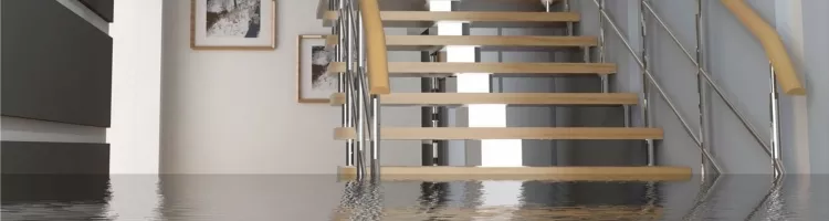 How to Deal With Water Damage and Prevent Mold Growth