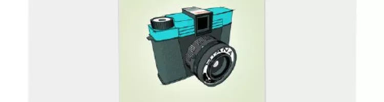 Lomo Diana Camera Print from Sean Tubridy