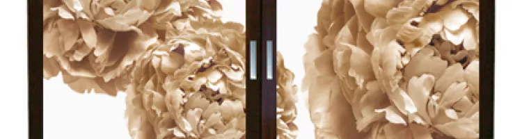 Floral Art, Sepia Peony Cabinet