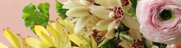 Small Gifts That Make a Big Impact
