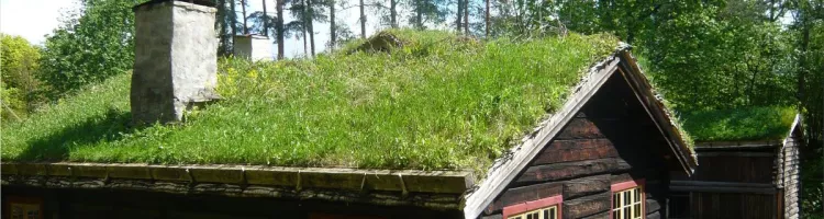 ecological roof
