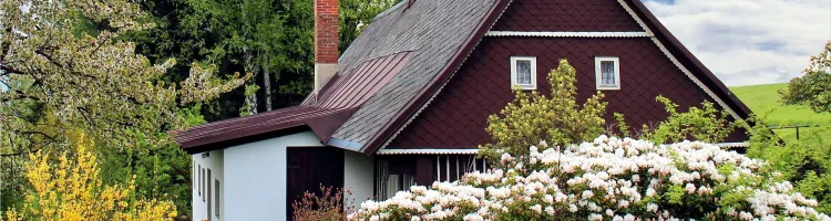 Easy Projects to Beautify Your Home