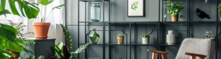 Ideas to decorate the living room from scratch
