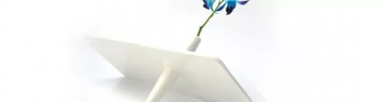 Not your usual flower vase