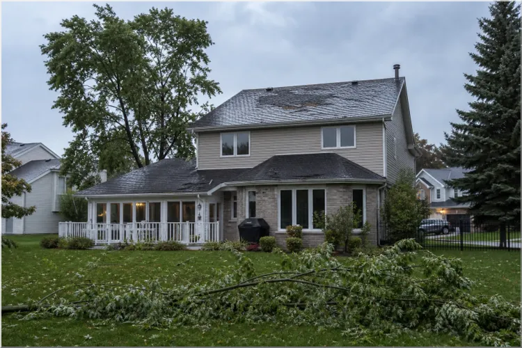 Spot Roof Damage