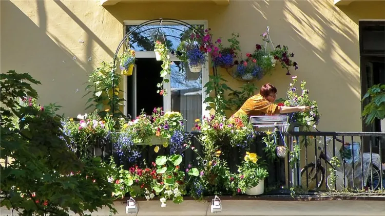 balcony flowers