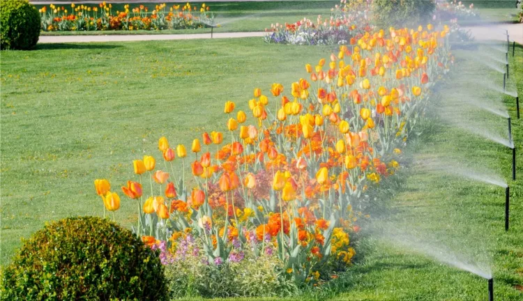 Lawn sprinkler systems