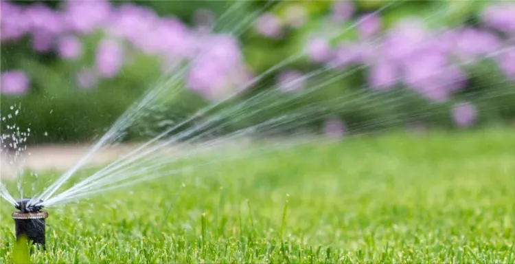 Lawn sprinkler systems