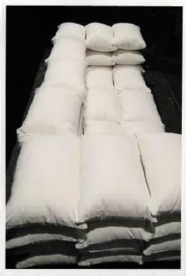 Christiane Högner, Cushionized sofa