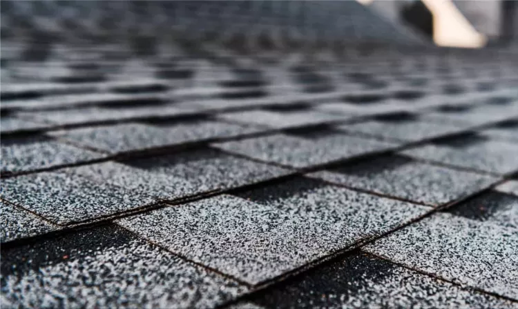 Shingle Roof Replacement