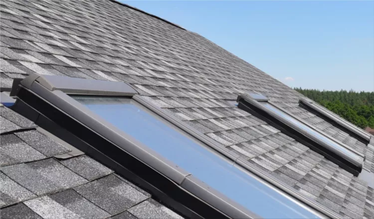Shingle Roof Replacement