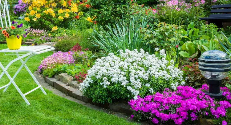 Garden flowers