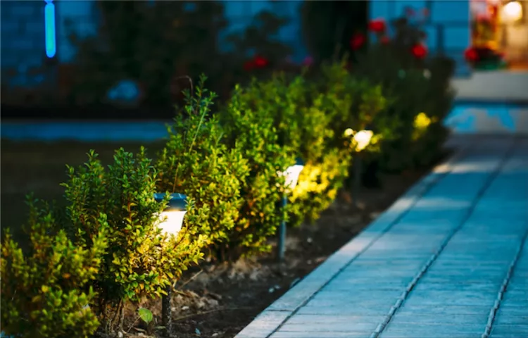 garden lights