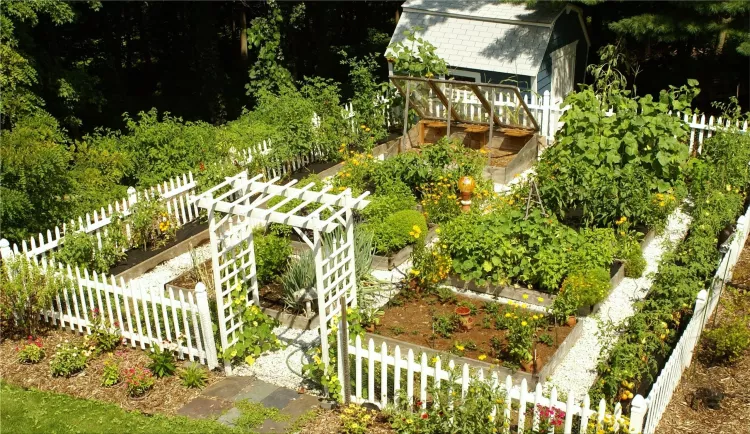 Home gardening