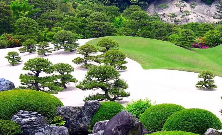 ZEN garden