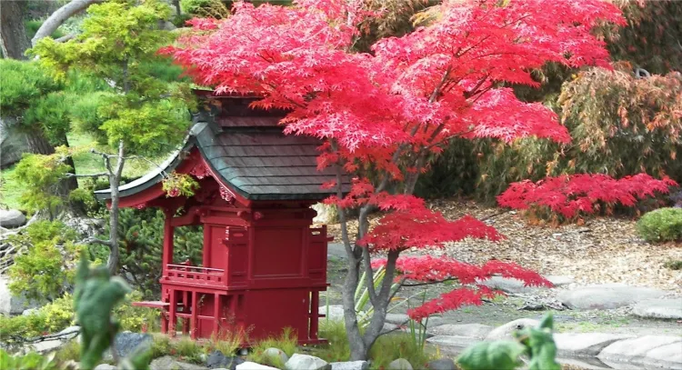 Japanese gardens