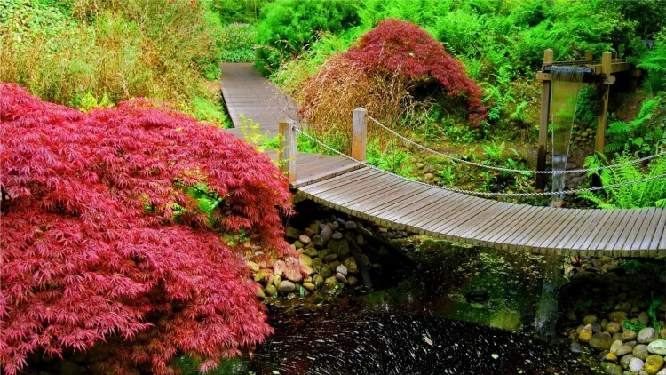 Japanese gardens