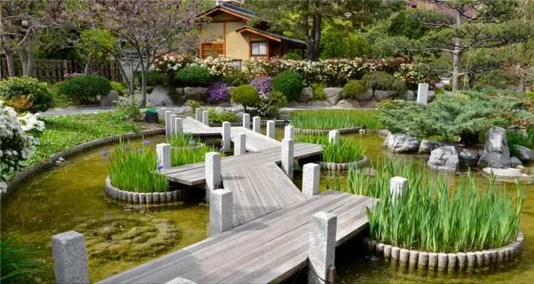 Zen gardens