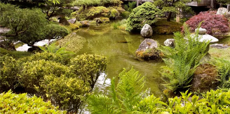 Zen gardens