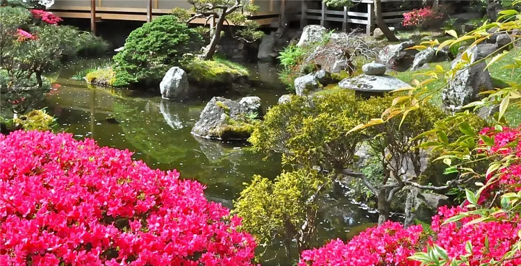 Zen gardens