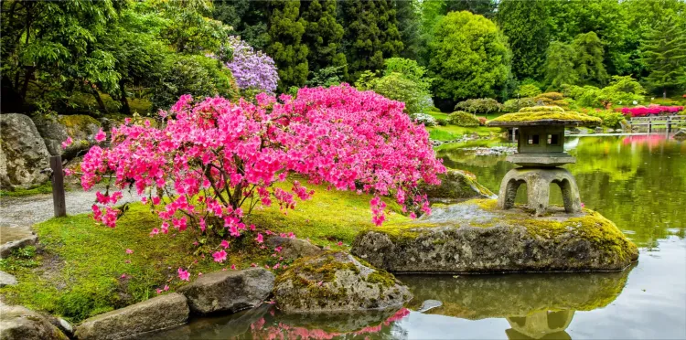 Zen gardens