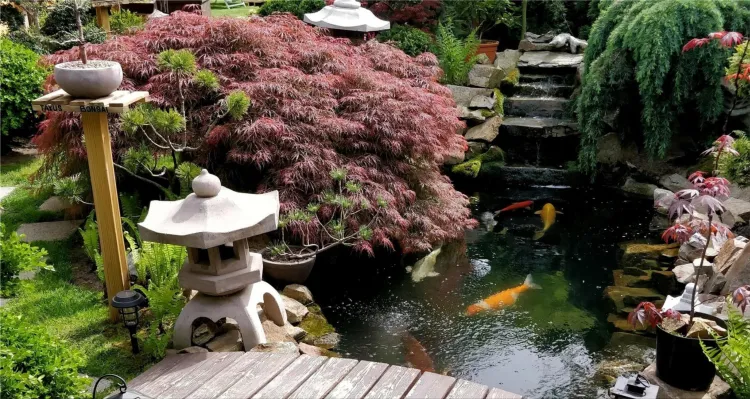 Zen gardens