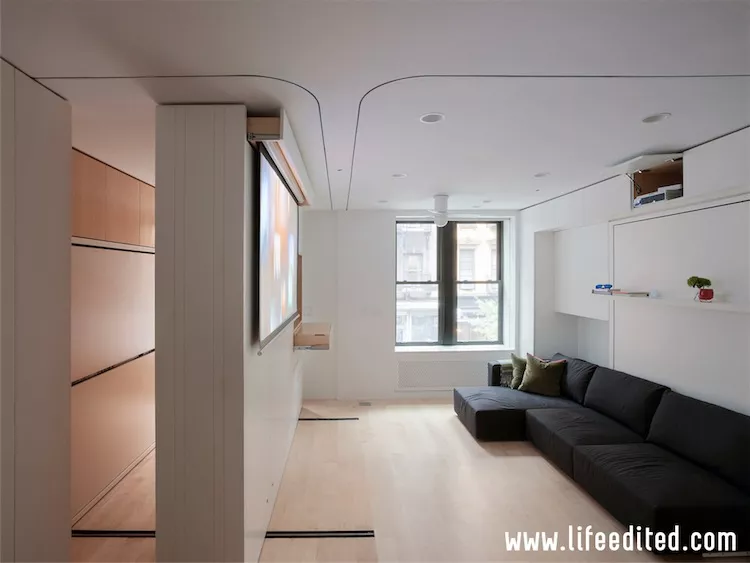 LE1: projection screen