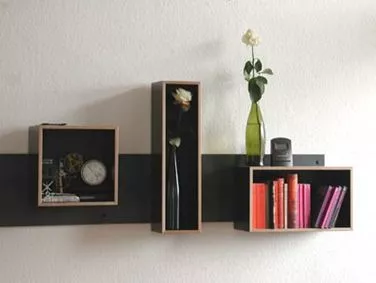 Magnetique Shelves
