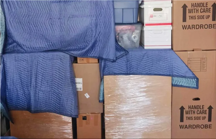Professional Movers