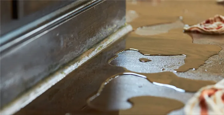 Water Damage Restoration