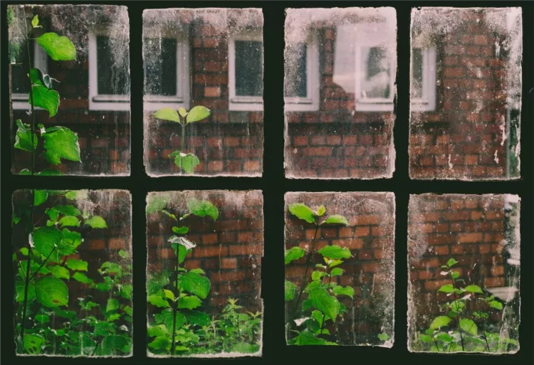 Window and Door Difficulties