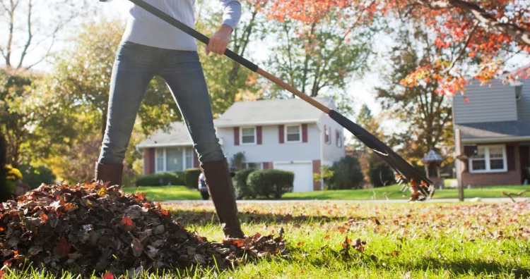 Yardwork
