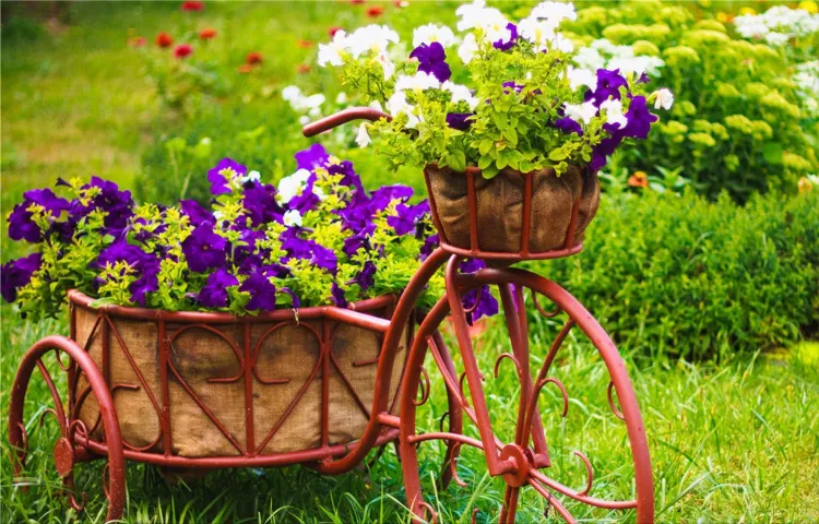 bicycle in a vintage garden