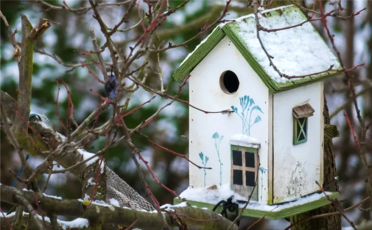 bird feeders