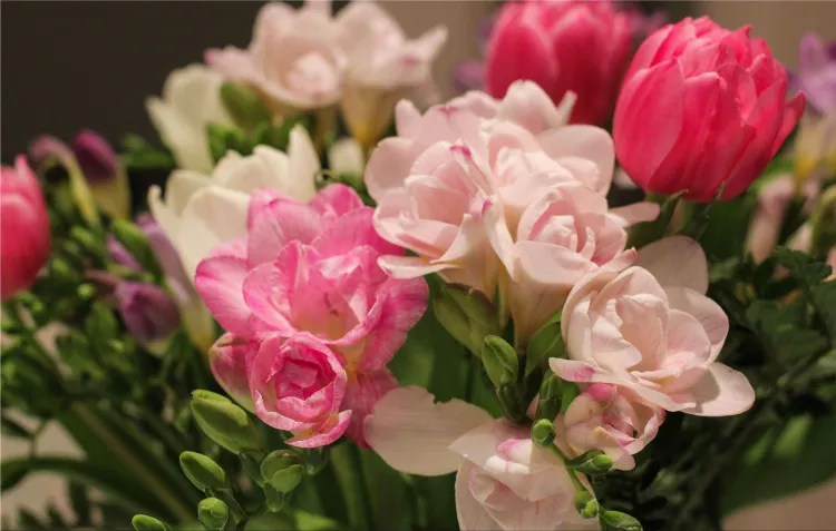 bouquet of flowers