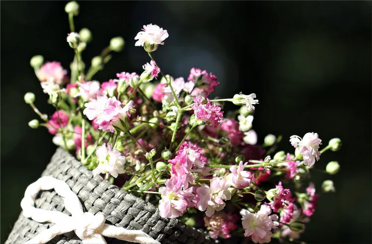 bouquet of flowers