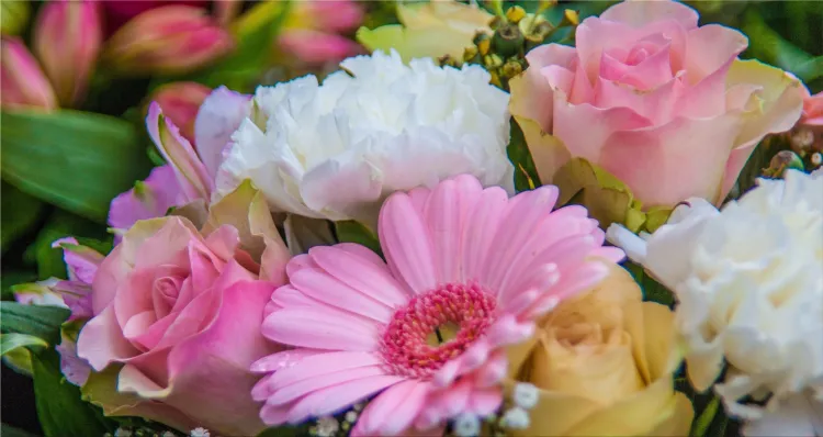 bouquet of flowers