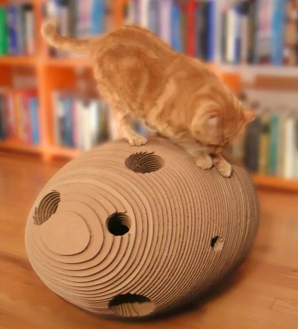 Cat Cocoon