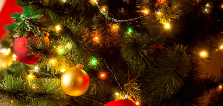 Christmas lights