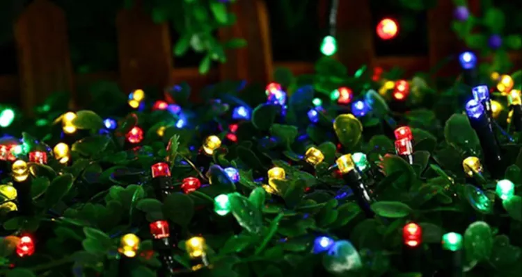 Christmas lights
