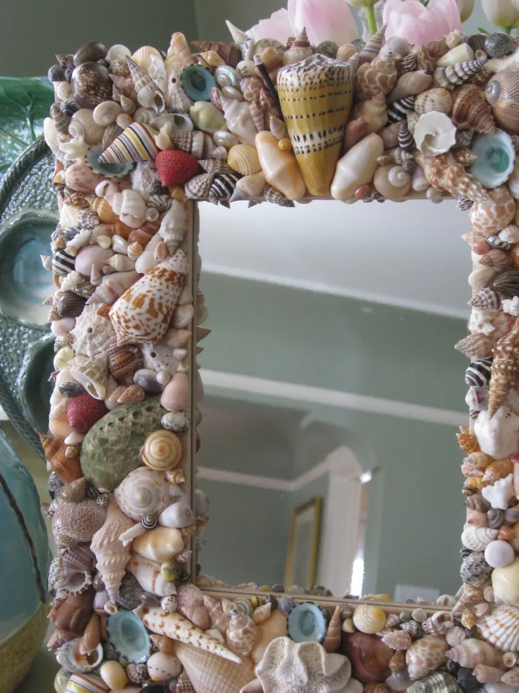Colleen Furano - Shell Mirror