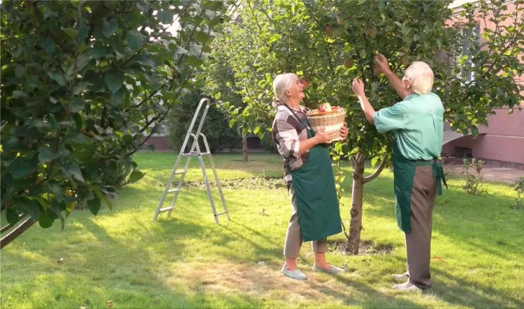 family members in garden