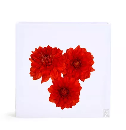 Floral Art, Flowers Dhalia Vase