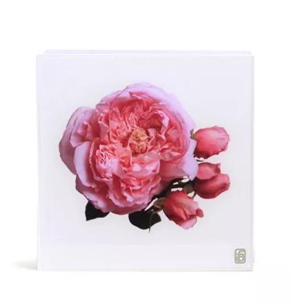 Floral Art, Flowers Rose Vase
