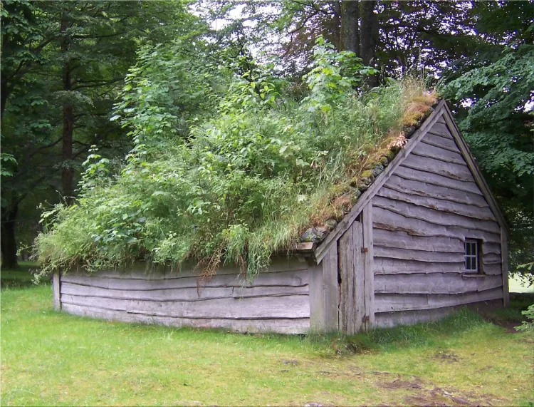 House ecological roof