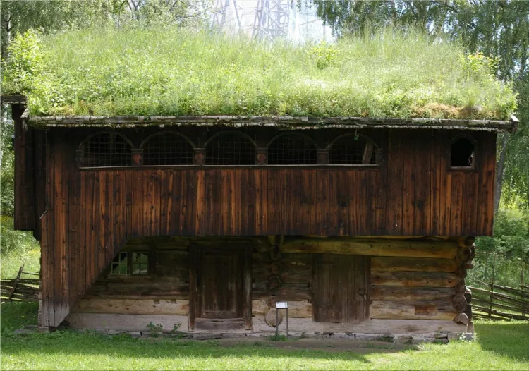 House ecological roof